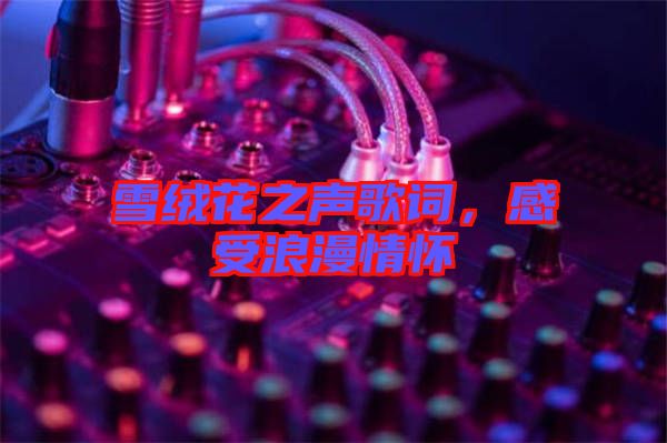 雪絨花之聲歌詞，感受浪漫情懷