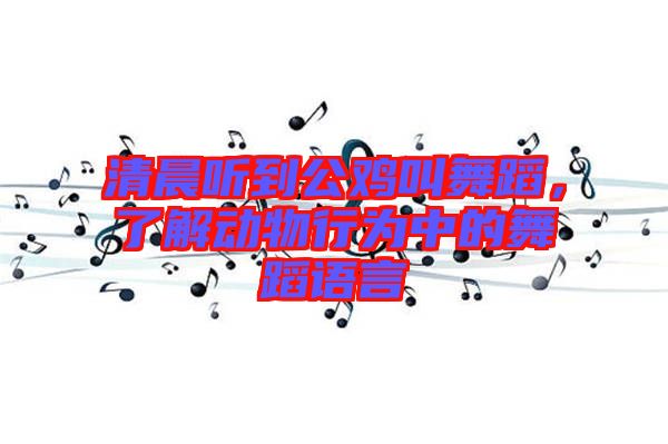 清晨聽到公雞叫舞蹈，了解動物行為中的舞蹈語言