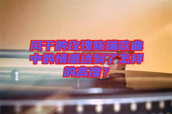 風干的玫瑰陳瑞歌曲中的情感達到了怎樣的高度？