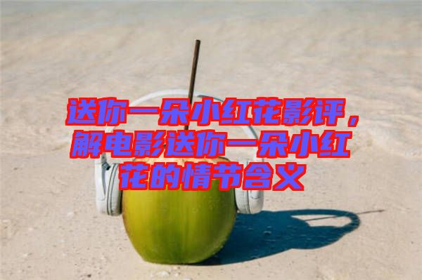 送你一朵小紅花影評(píng)，解電影送你一朵小紅花的情節(jié)含義