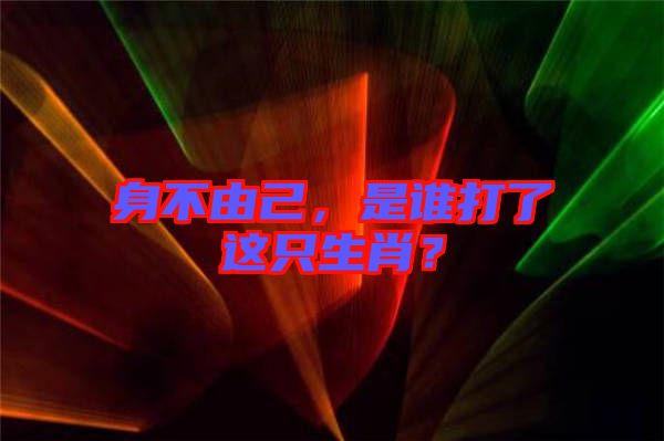 身不由己，是誰打了這只生肖？