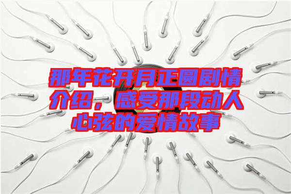 那年花開月正圓劇情介紹，感受那段動人心弦的愛情故事