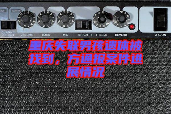 重慶失聯(lián)男孩遺體被找到，方通報案件進展情況