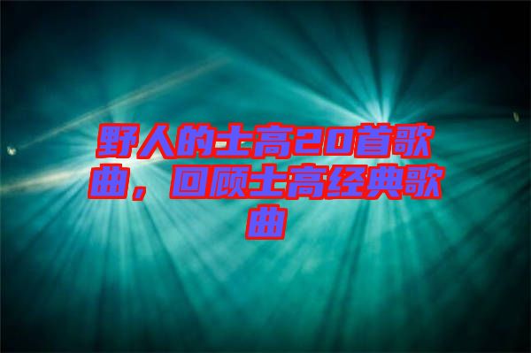 野人的士高20首歌曲，回顧士高經典歌曲