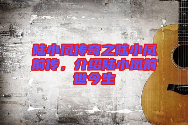 陸小鳳傳奇之陸小鳳前傳，介紹陸小鳳前世今生