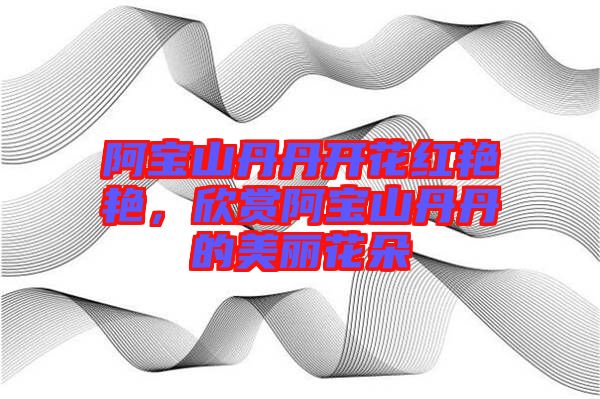 阿寶山丹丹開花紅艷艷，欣賞阿寶山丹丹的美麗花朵