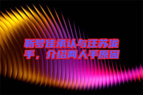 靳夢(mèng)佳承認(rèn)與汪蘇瀧手，介紹兩人手原因