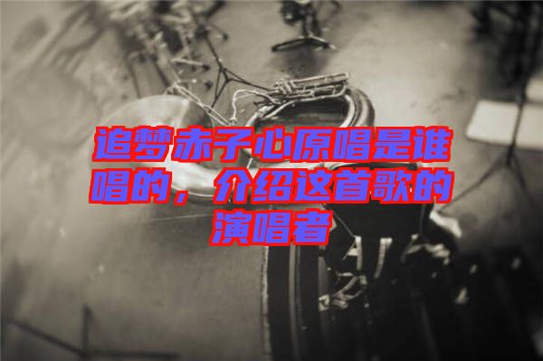 追夢赤子心原唱是誰唱的，介紹這首歌的演唱者