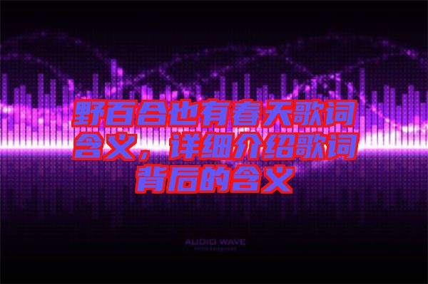 野百合也有春天歌詞含義，詳細介紹歌詞背后的含義