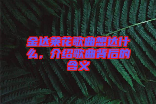 金達萊花歌曲想達什么，介紹歌曲背后的含義