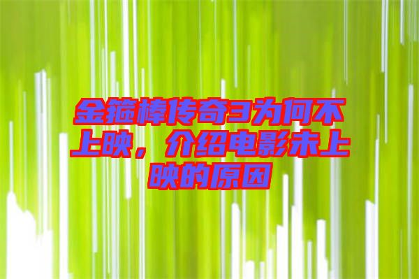 金箍棒傳奇3為何不上映，介紹電影未上映的原因