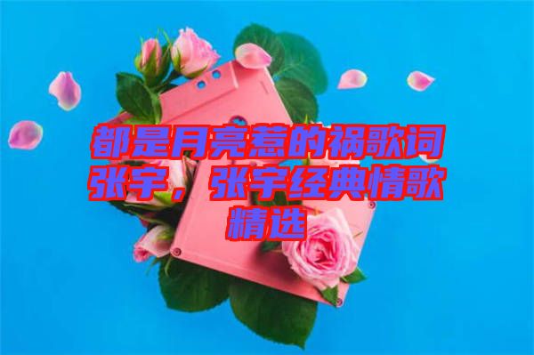 都是月亮惹的禍歌詞張宇，張宇經(jīng)典情歌精選